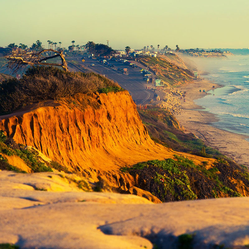 carlsbad crop