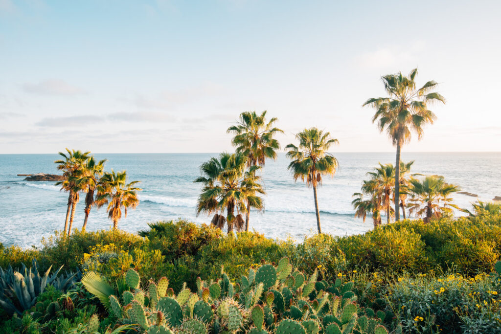 Laguna Beach, Orange County, California