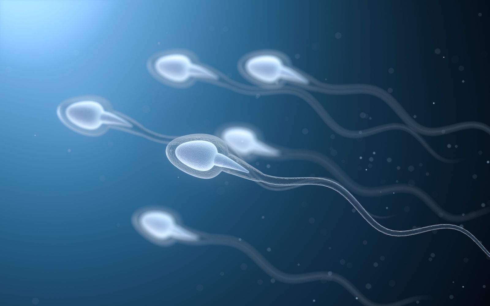 3D rendering of sperm cells affected by alcohol